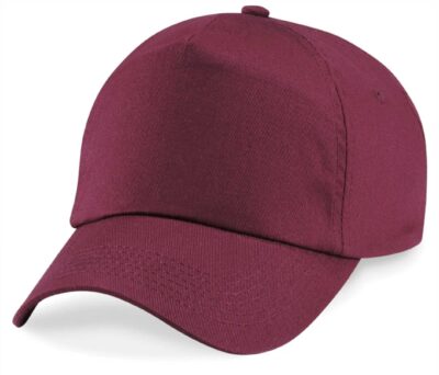 CVPS Nursery Cap
