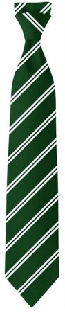 NEW Oakwood Tie COMPULSORY Incoming Year 7 ONLY
