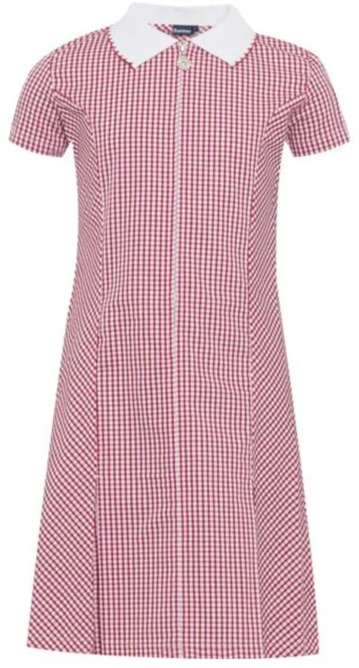 Earlswood Gingham Dress