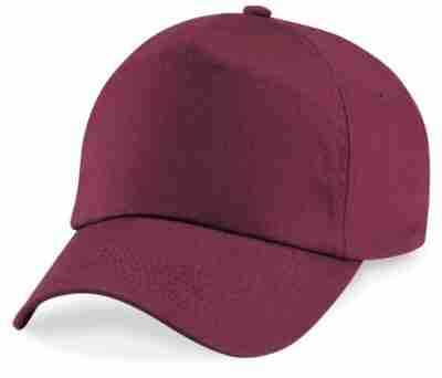 CVPS Nursery Cap