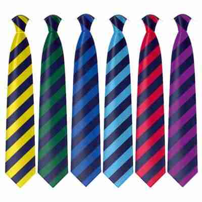 Merstham Park School Tie - COMPULSORY